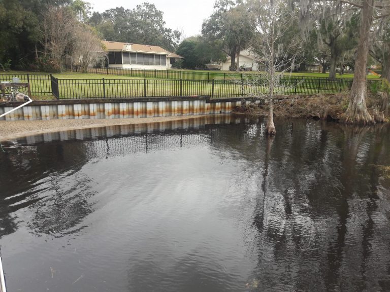 Shoreline restoration project